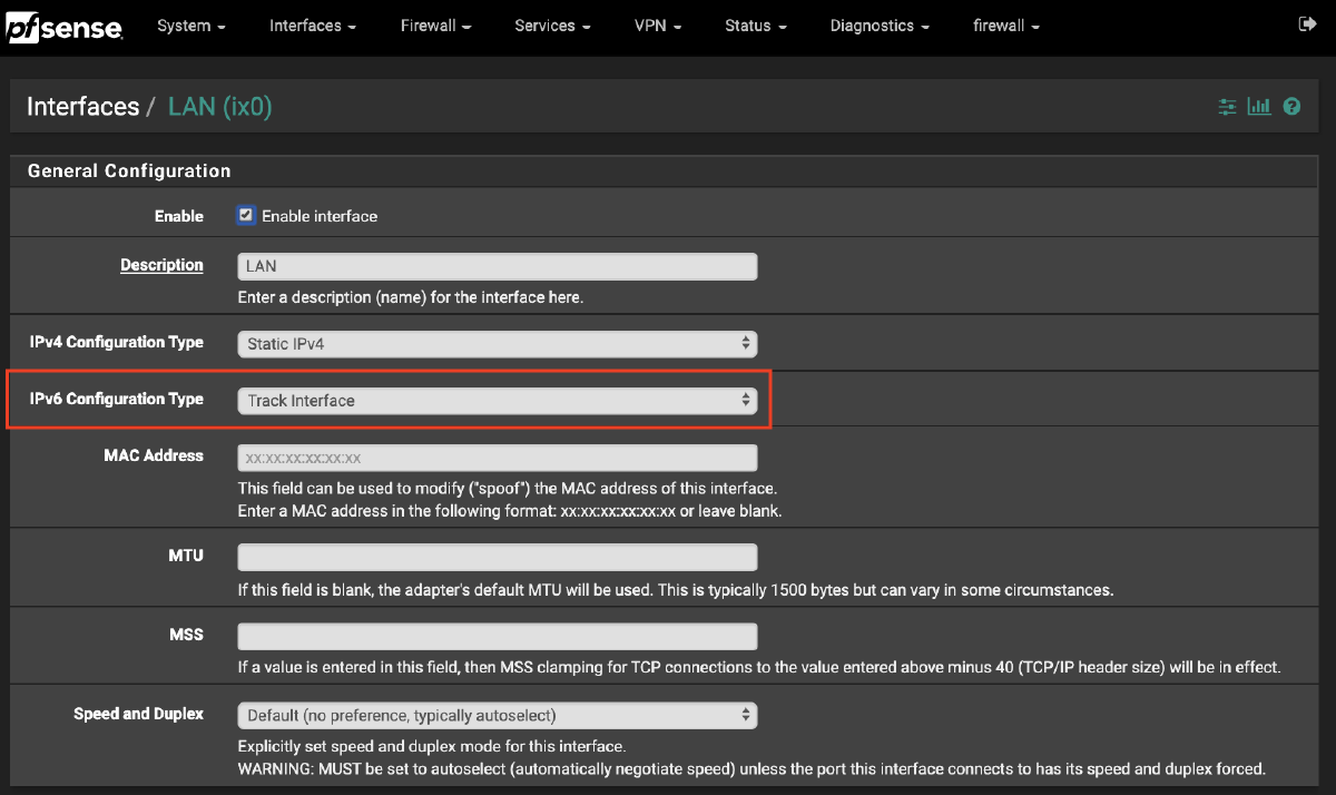 LAN Interface IPv6 Options