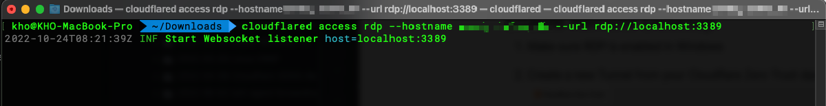 Connect to cloudflare access
